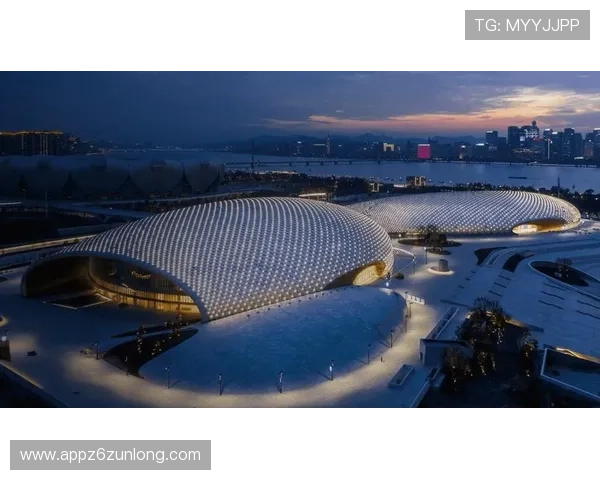 尊龙集团官网入口：常见问题解答与官方入口的稳定性分析