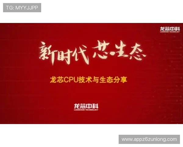 尊龙凯时中国区：分析其在中国地区的市场推广效果与客户反馈