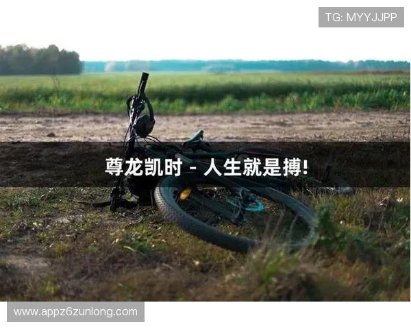 尊龙凯时旗舰平台提供专业的客户服务与全天候技术支持，确保每位玩家都能畅快无忧游戏体验