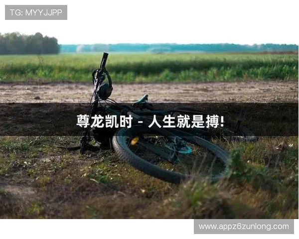 畅游尊龙凯时官网，感受搏击人生的非凡魅力与激情