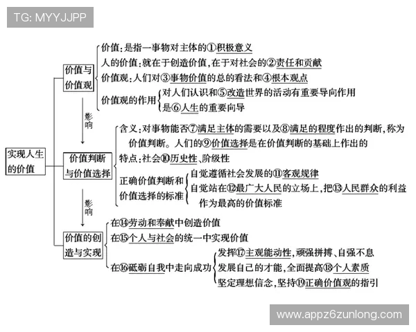 Z6人生：如何通过自我提升实现人生价值的具体步骤